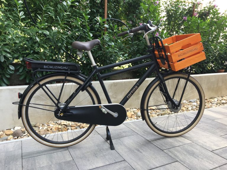 E-bike: venni vagy bérelni?