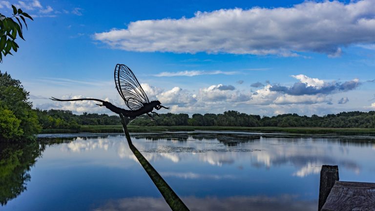 9+1 dolog, amiért a Tisza-tó a legjobb (bringás) úti cél idén