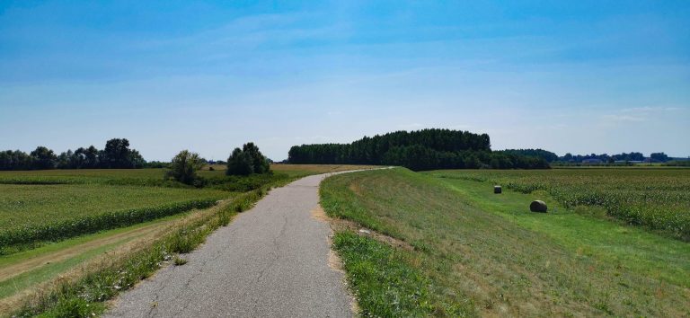 Templomchill a Felső-Tisza-vidék környékén